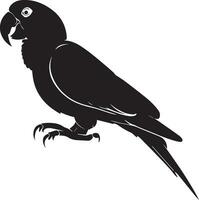 Parrot vector silhouette illustration