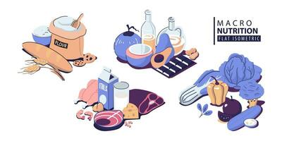 conjunto de sano macronutrientes. fibra o celulosa, proteínas, grasas y carbohidratos o carbohidratos presentado por comida productos plano vector ilustración de nutrición categorías aislado en blanco antecedentes