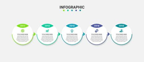 5 5 pasos opciones circulo cronograma negocio infografía modelo diseño vector