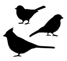 Vector set bundle of black birds silhouette