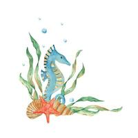 Marine corner composition of cute seahorse, seaweeds, seashells, red starfish, water bubbles. Watercolor hand drawn illustration for children. For cards, posters, marine design. vector