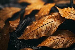 Close up of beautiful autumn leaves with water drops. Natural background AI Generated photo