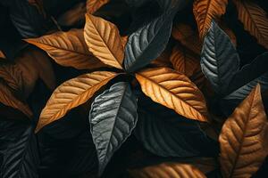 Close up of beautiful autumn leaves with water drops. Natural background AI generated photo