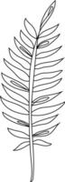 Tropical Leaf Line Art vector