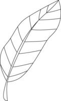 Tropical Leaf Line Art vector