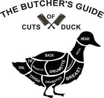 The butcher's guide cuts of duck vector illustration