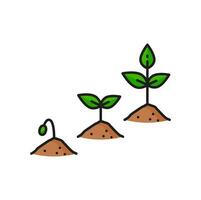Plant growth stage agriculture color line icon vector
