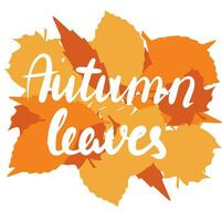 Autumn leaves, saying text. Autumn handwriting text. Fall quote. Autumn short phrase composition. Vector illustration.