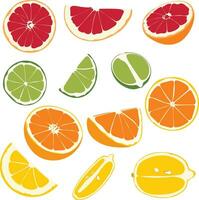 Vector of the fruit stickers