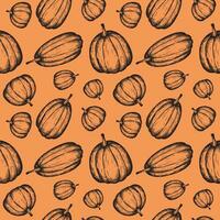 Pumpkin seamless pattern hand drawn vector illustration in vintage style. Repeating background with pumpkins Decorative ornament for autumn holiday, harvest. For card, print, label, packaging, banner