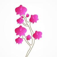 illustration graphic vector beautiful pink orchid flower for greeting card, wedding invitation