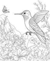 colibrí y flor colorante paginas vector