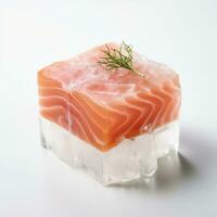 raw salmon frozen inside of a square block of ice photo