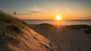 Sunset at the dune beach photo