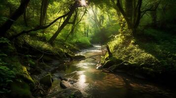 verde bosque en luz de sol con bosque corriente foto