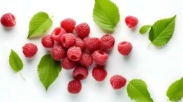 Raspberries with Mint White Background photo