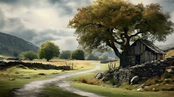 rustic cottage in the meadows photo