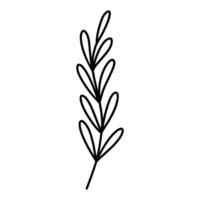 linda rama con hojas aislado en blanco antecedentes. vector dibujado a mano ilustración en garabatear estilo. Perfecto para tarjetas, logo, decoraciones, varios diseños botánico clipart.