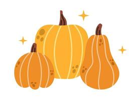 vector otoño ilustración con calabazas ilustración con naranja y amarillo calabazas otoño vegetales en plano diseño. acción de gracias calabazas
