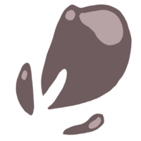 illustration of leaf png