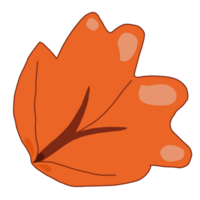 Illustration of leaf png