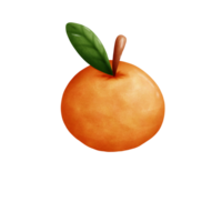 fruit l'eau Couleur png