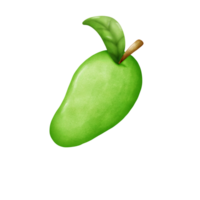 Fruit water color png