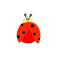 A Cute ladybug png