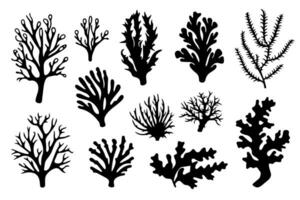 Hand drawn set of corals and seaweed silhouette isolated on white background. Vector icons and stamp illustration.