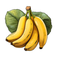 Bananas, Banana, Isolated banana illustration, Banana illustrations, Isolated Banana with leaves png