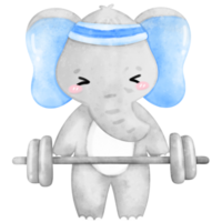 Cute Elephant Workout, Home Workout, Workout illustration, Animal Exercise png