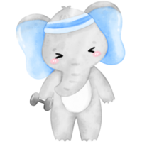 Cute Elephant Workout, Home Workout, Workout illustration, Animal Exercise png