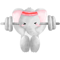 Cute Elephant Workout, Home Workout, Workout illustration, Animal Exercise png