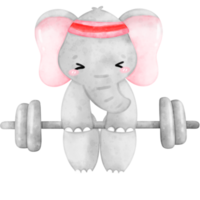 Cute Elephant Workout, Home Workout, Workout illustration, Animal Exercise png