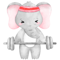 Cute Elephant Workout, Home Workout, Workout illustration, Animal Exercise png