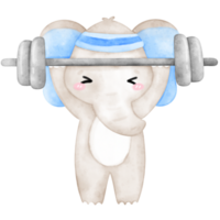 Cute Elephant Workout, Home Workout, Workout illustration, Animal Exercise png