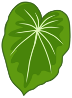 monstera blad vlak ontwerp, groen botanisch element png