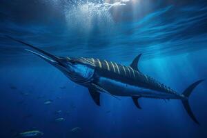 marlin swimming, photorealistic, underwater photography AI Generative photo