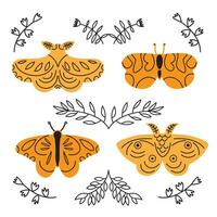 mariposa recopilación. mano dibujado vector ilustración.