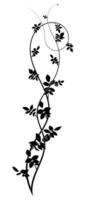 beautiful element for the pattern hawthorn decor vector