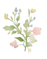 clipart em aquarela de flores png