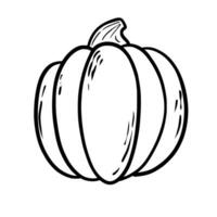 Pumpkin. Doodle. Hand drawing. Vector illustration in modern style. Festive pumpkin. Autumn vegetable.