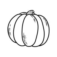 Pumpkin. Doodle. Hand drawing. Vector illustration in modern style. Festive pumpkin. Autumn vegetable.