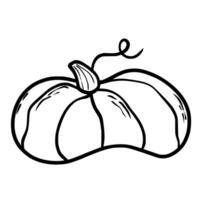 Pumpkin. Doodle. Hand drawing. Vector illustration in modern style. Festive pumpkin. Autumn vegetable.