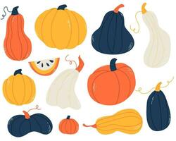 Pumpkin set. Doodle. Hand drawing. Vector illustration in modern style. Festive pumpkin. Autumn vegetable.