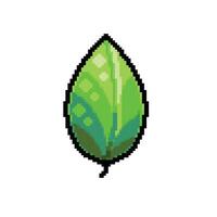 single leaf in pixel art style vector