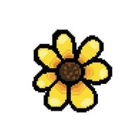 sunflower in pixel art style vector