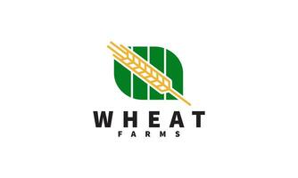 Wheat grain logo design vector. Grain wheat field logo concept  agriculture wheat logo template vector