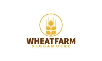 Wheat grain logo design vector. Grain wheat field logo concept  agriculture wheat logo template vector