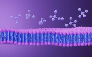 Cell membrane structure background, 3d rendering. photo